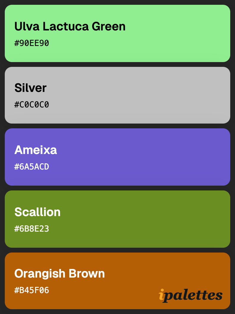 color palette card style 1