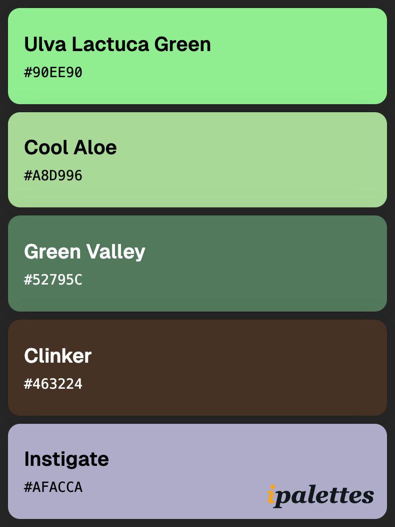 color palette card style 1